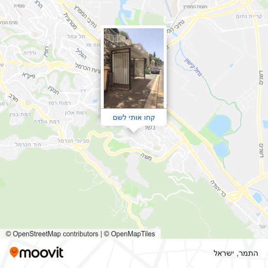 מפת התמר