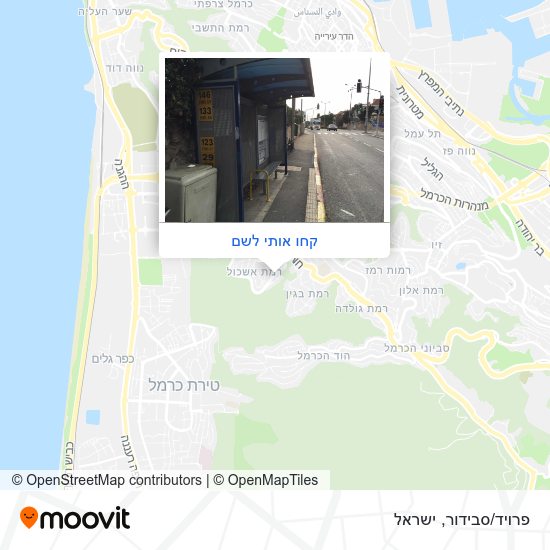 מפת פרויד/סבידור