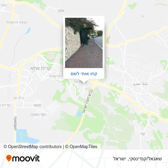 מפת שאגאל/קנדינסקי