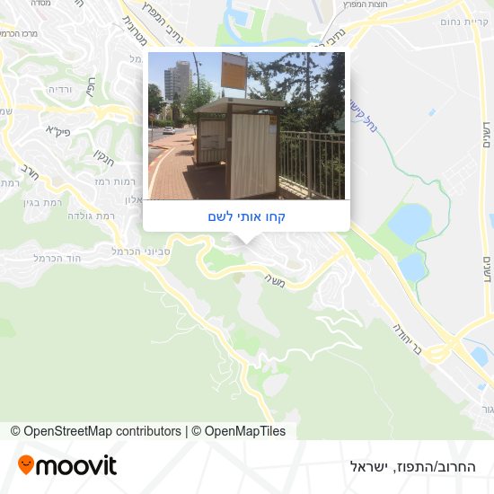 מפת החרוב/התפוז
