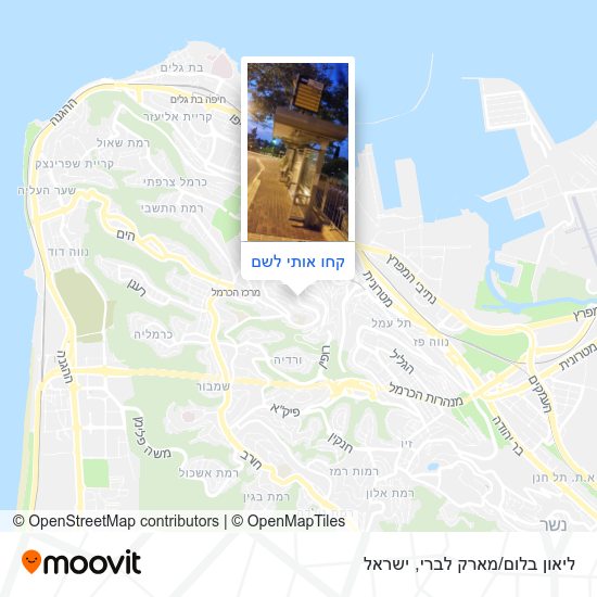 מפת ליאון בלום/מארק לברי