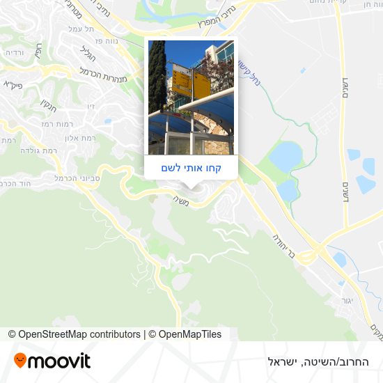 מפת החרוב/השיטה