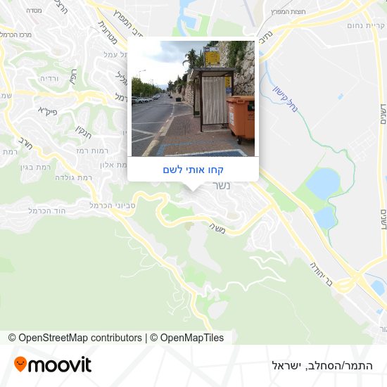 מפת התמר/הסחלב