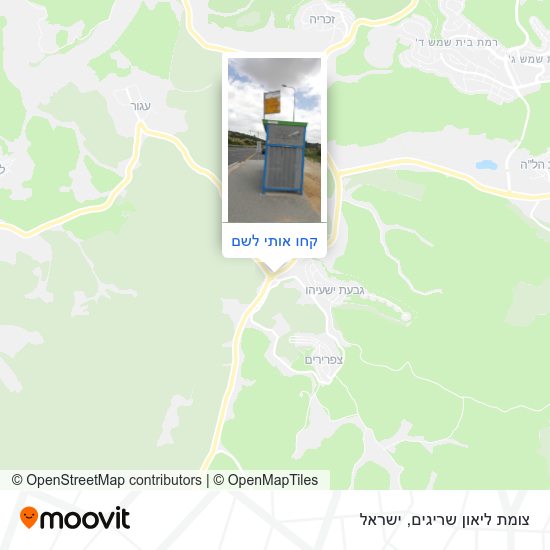 מפת צומת ליאון שריגים