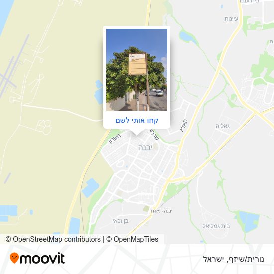 מפת נורית/שיזף