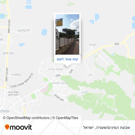 מפת שבעת המינים/שעורה