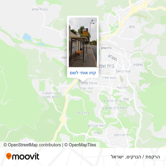 מפת הרקפת / הנרקיס