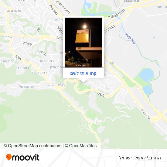 מפת החרוב/האשל