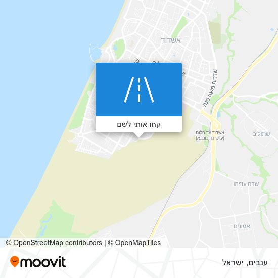מפת ענבים