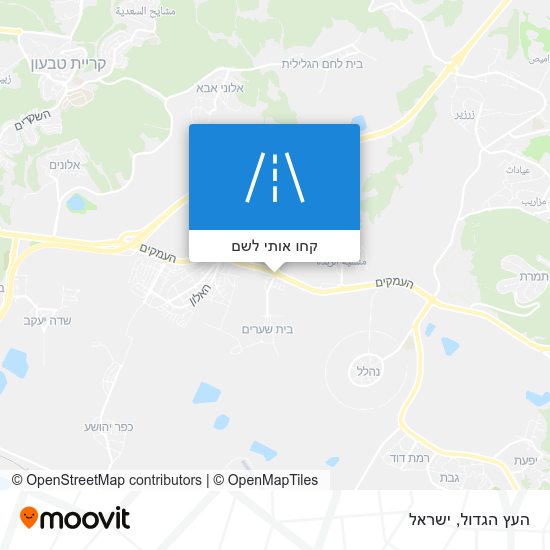 מפת העץ הגדול
