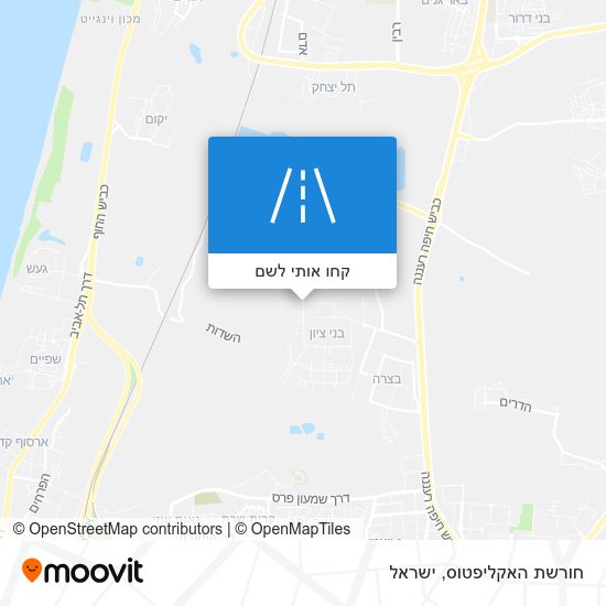 מפת חורשת האקליפטוס