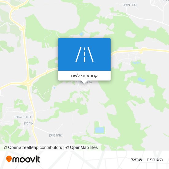 מפת האורנים