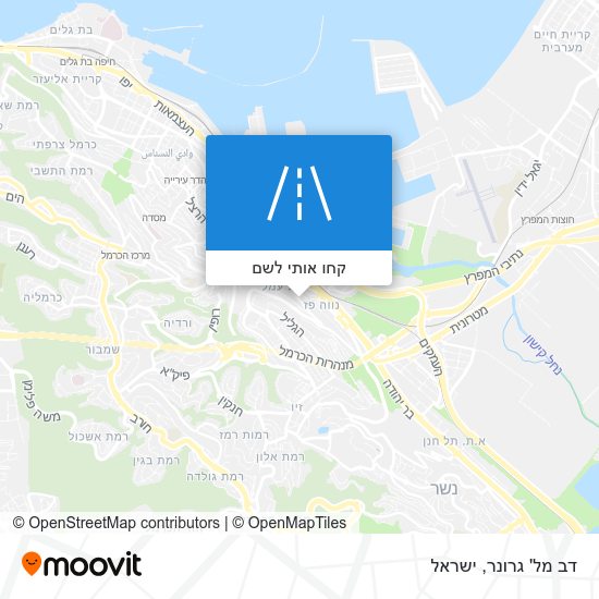 מפת דב מל' גרונר