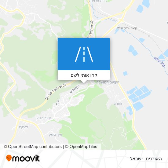 מפת האורנים
