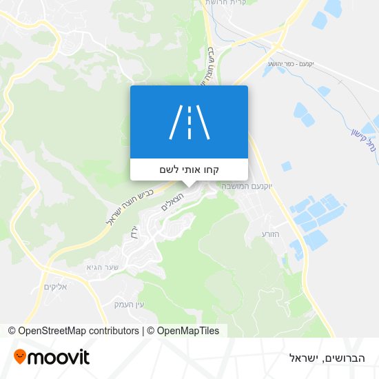 מפת הברושים
