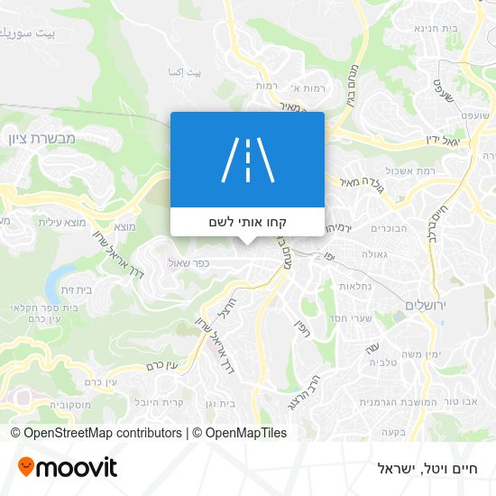 מפת חיים ויטל