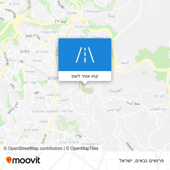 מפת פרושים נבאים
