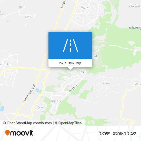 מפת שביל האורנים