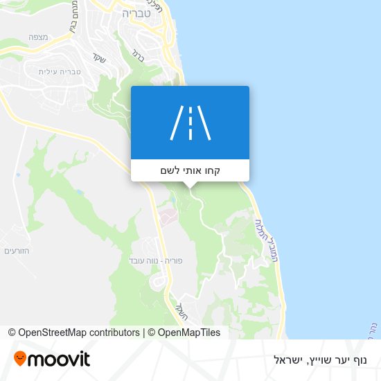 מפת נוף יער שוייץ
