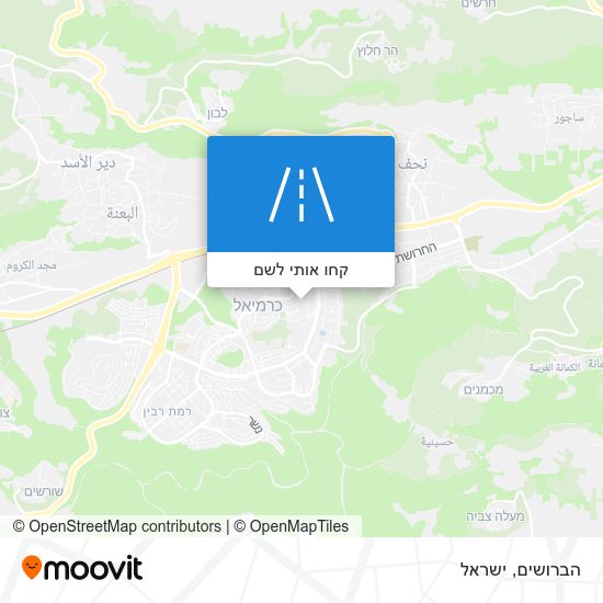 מפת הברושים