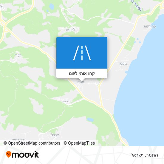 מפת התמר