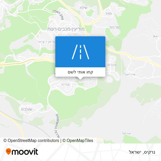 מפת נרקיס