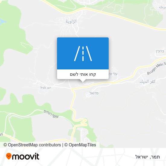 מפת תמר