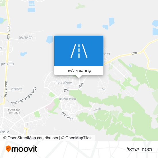 מפת תאנה