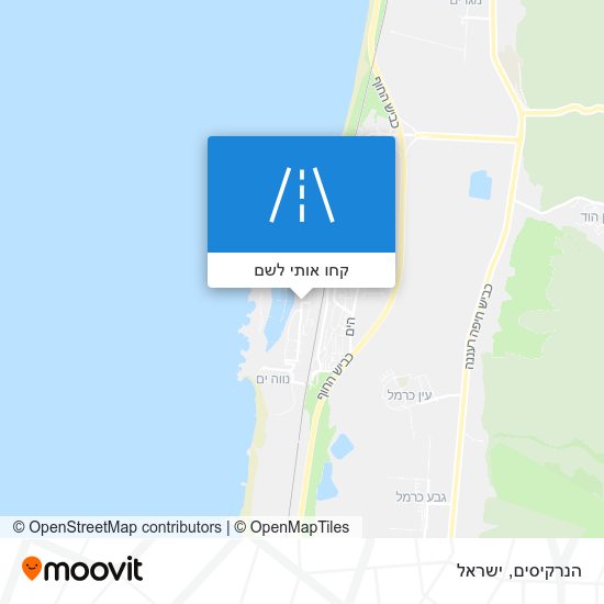 מפת הנרקיסים