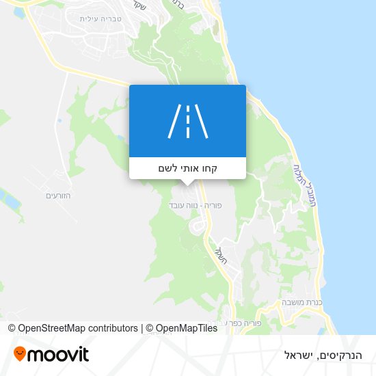 מפת הנרקיסים