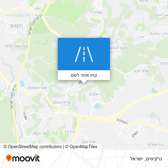 מפת נרקיסים