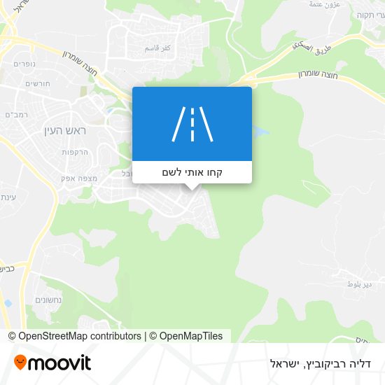 מפת דליה רביקוביץ
