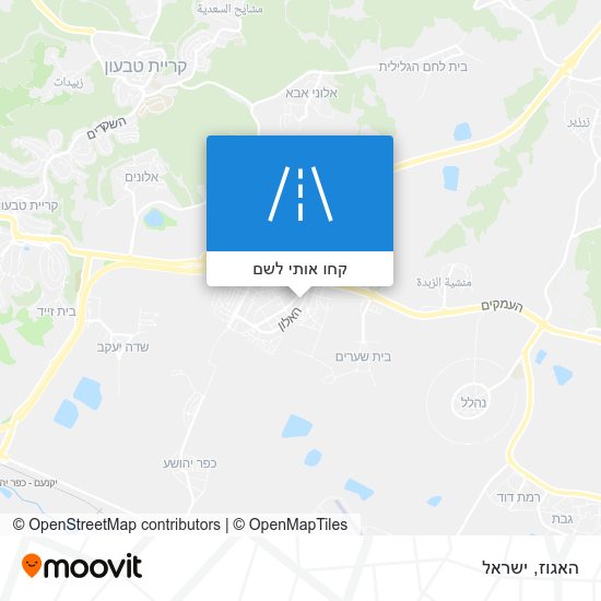 מפת האגוז
