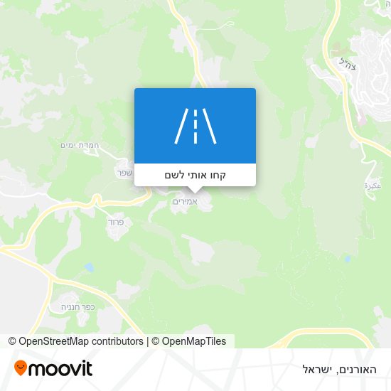 מפת האורנים