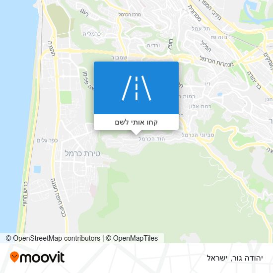 מפת יהודה גור
