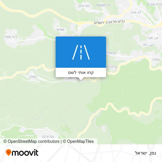 מפת גפן