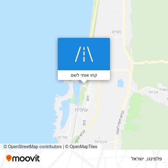 מפת פלמינגו