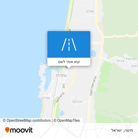 מפת חיטה