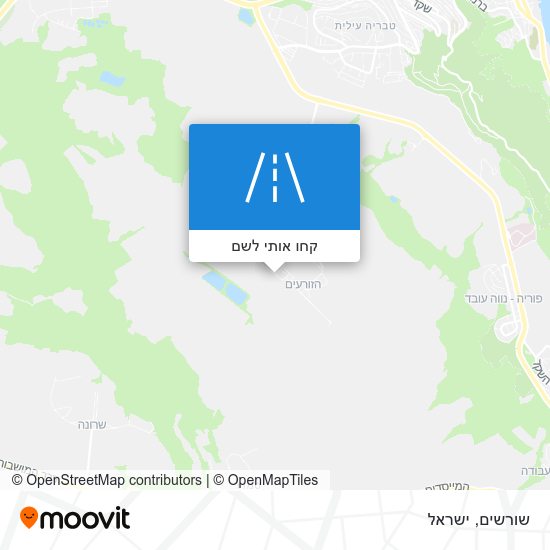 מפת שורשים