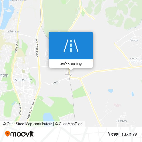 מפת עץ האגוז