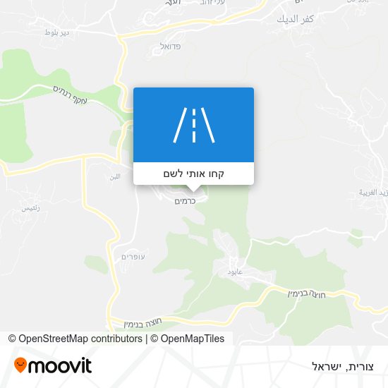 מפת צורית