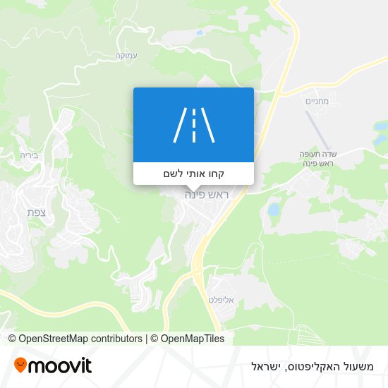מפת משעול האקליפטוס