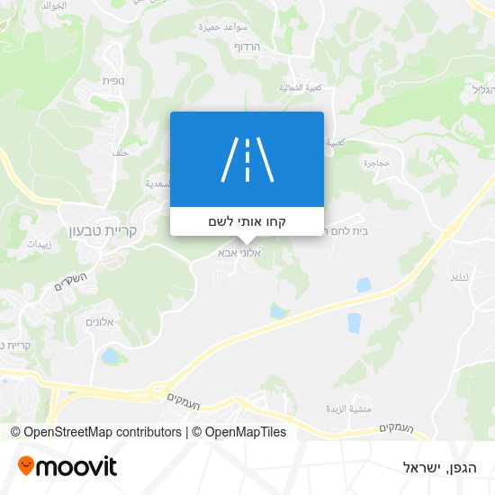 מפת הגפן
