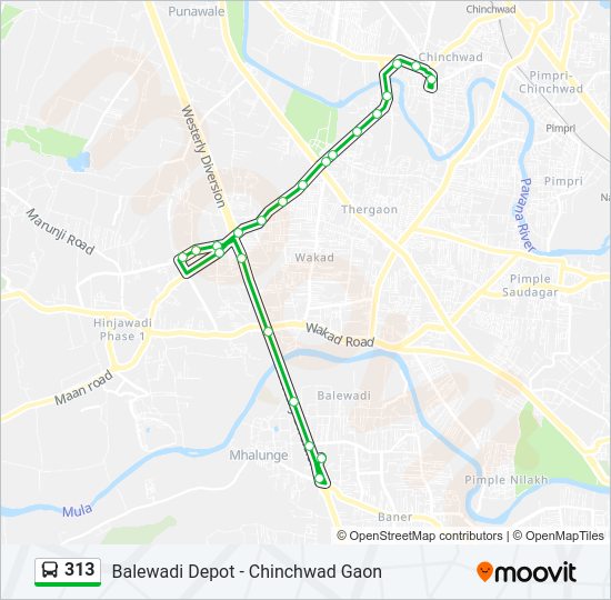 313 bus Line Map