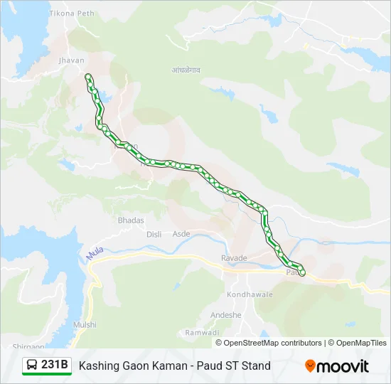 231B Bus Line Map