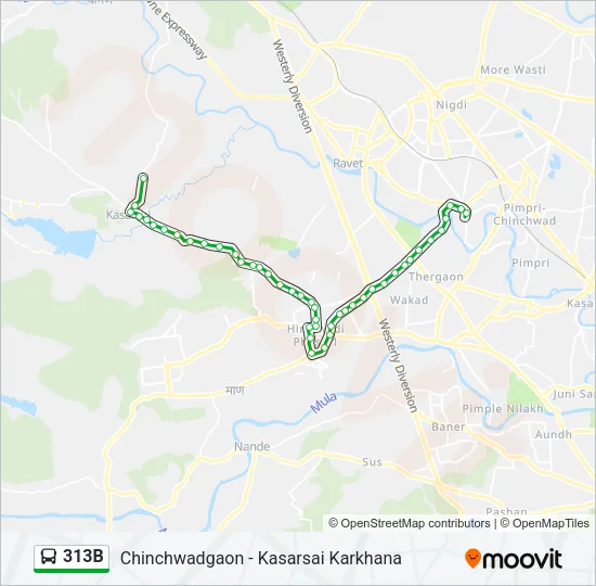 313B Bus Line Map