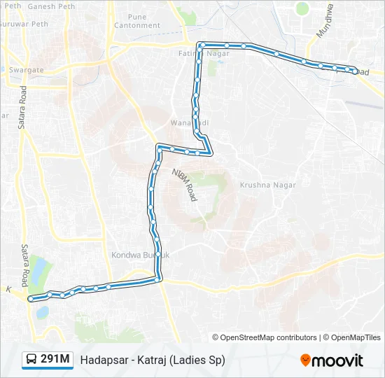 291M Bus Line Map