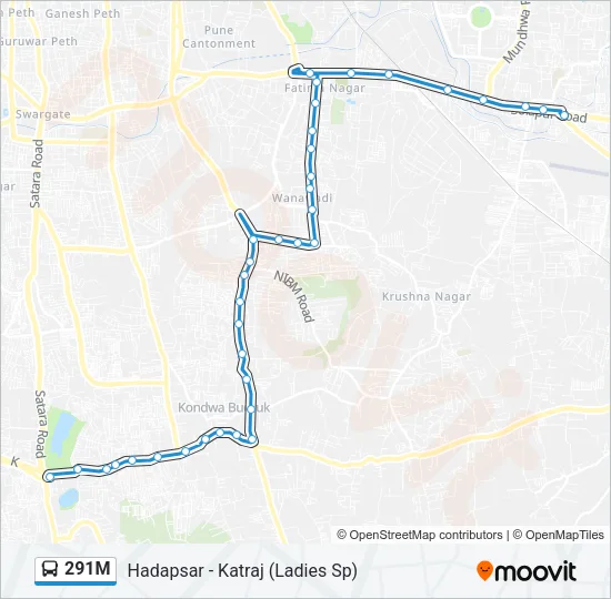 291M Bus Line Map
