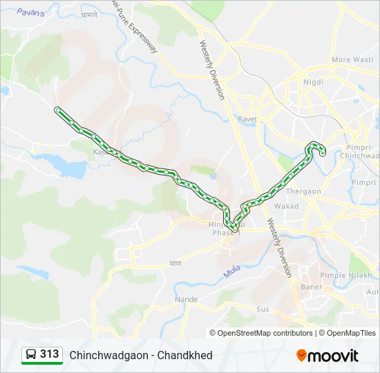 313 Bus Line Map
