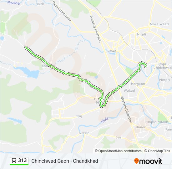 313 Bus Line Map